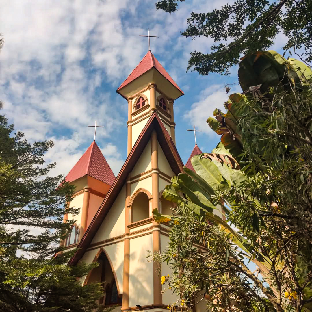 A close-up of a colorful flower in bloom